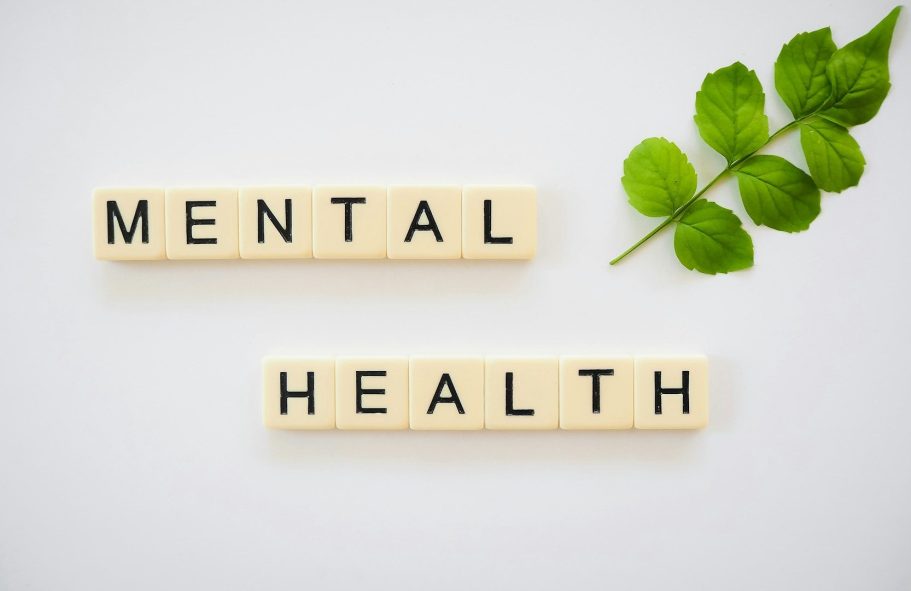 Die Worte "MENTAL" und "HEALTH" in Holzbuchstaben, neben einem grünen Blatt.